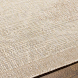 Djugun Beige Indoor & Outdoor Rug - Ornate Home
