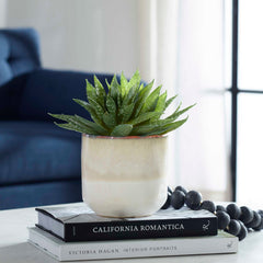 Doha Green Succulent Accent - Ornate Home