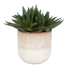 Doha Green Succulent Accent - Ornate Home