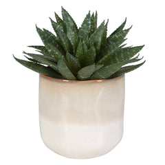 Doha Green Succulent Accent - Ornate Home