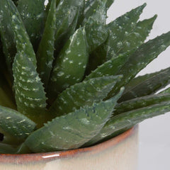 Doha Green Succulent Accent - Ornate Home
