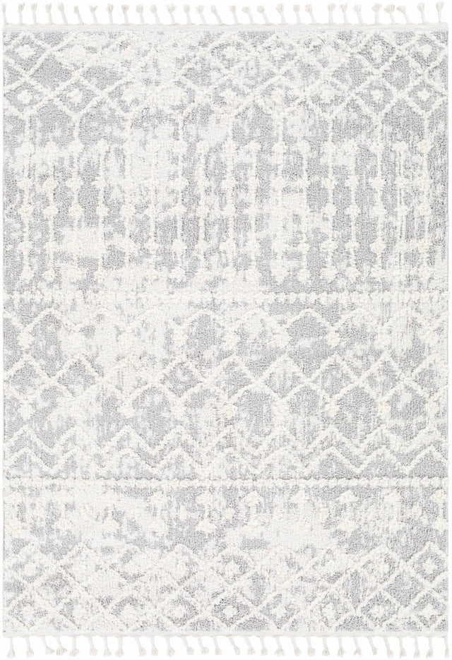 Dolo Area Rug - Clearance - Ornate Home
