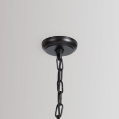 Dome Black 24" Ceiling Light