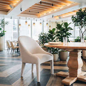 Domo Ivory Dining Chair - Ornate Home