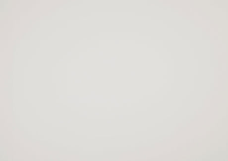 Donahue White Twin Bed - Ornate Home