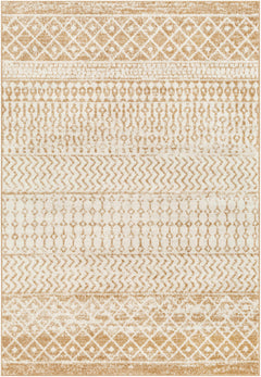 Dong Area Rug - Clearance - Ornate Home