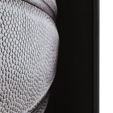 Double Dribble Black Wall Art - Ornate Home
