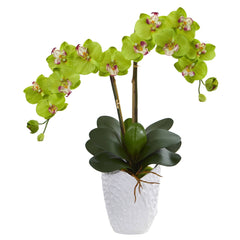 Double Phalaenopsis Orchid in White Vase - Ornate Home