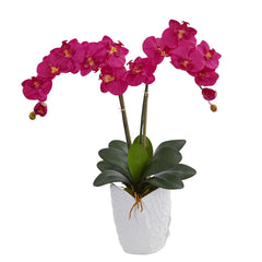 Double Phalaenopsis Orchid in White Vase - Ornate Home