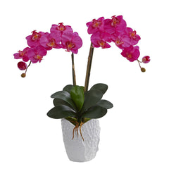 Double Phalaenopsis Orchid in White Vase - Ornate Home