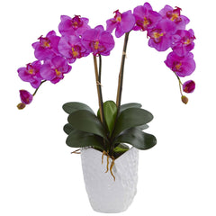 Double Phalaenopsis Orchid in White Vase - Ornate Home