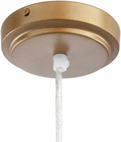 Dows Ceiling Light - Clearance - Ornate Home
