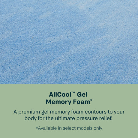 Dream Weaver 12.5" Gray Hybrid King Hybrid Plush Mattress - Ornate Home