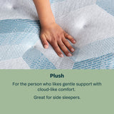 Dream Weaver 13.75" Gray Innerspring Twin XL Plush Mattress - Ornate Home