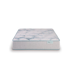 Dream Weaver 13.75" Gray Innerspring Twin XL Plush Mattress - Ornate Home