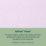 Dream Weaver 14.25" Gray Innerspring Queen Ultra Plush Pillow Top Mattress - Ornate Home