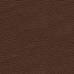 Dreamer Brown Power Recliner with Audio Seating - Ornate Home