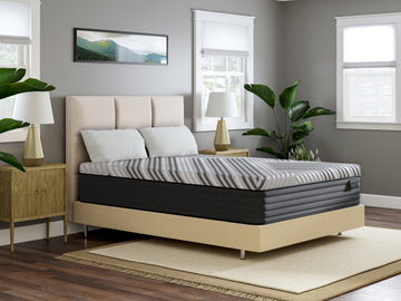 Dreamstage 2.0 Clarity All Foam 13" Medium Twin Mattress - Ornate Home