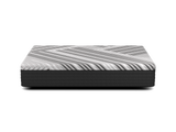 Dreamstage 2.0 Clarity All Foam 13" Medium Twin Mattress - Ornate Home