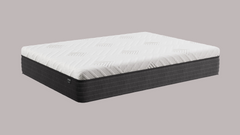 Dreamstage 2.0 Gilded Hybrid 13" Firm Twin Mattress - Ornate Home