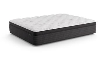 Dreamstage 2.0 Glory Quilted 14" Plush Twin Mattress - Ornate Home