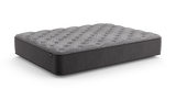 Dreamstage 2.0 Grace Quilted 12" Plush Twin XL Mattress - Ornate Home