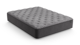 Dreamstage 2.0 Grace Quilted 12" Plush Twin Mattress - Ornate Home