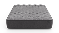 Dreamstage 2.0 Grace Quilted 12" Plush Twin Mattress - Ornate Home