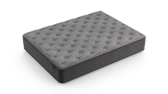 Dreamstage 2.0 Grace Quilted 12" Plush Twin Mattress - Ornate Home