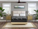 Dreamstage 2.0 Tranquility All Foam 14" Medium Queen Mattress - Ornate Home