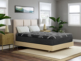 Dreamstage 2.0 Tranquility All Foam 14" Medium Queen Mattress - Ornate Home