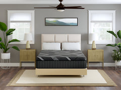 Dreamstage 2.0 Tranquility Hybrid 15" Firm Twin XL Mattress - Ornate Home