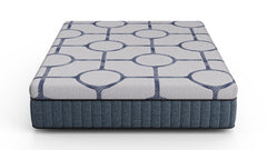 Dreamstage Value Aquamarine Hybrid 13.5" Plush Grey Twin XL Mattress - Ornate Home