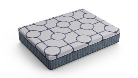 Dreamstage Value Aquamarine Hybrid 13.5" Plush Grey Twin Mattress - Ornate Home