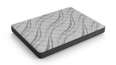 Dreamstage Value Citrine Foam Tight Top 7" Medium Grey Twin Mattress - Ornate Home