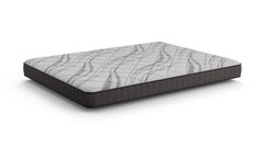 Dreamstage Value Citrine Foam Tight Top 7" Medium Grey Twin XL Mattress - Ornate Home