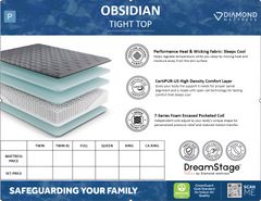 Dreamstage Value Obsidian Tight Top 13" Plush Grey Twin Mattress - Ornate Home