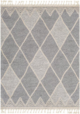 Dumlan Area Carpet - Clearance - Ornate Home
