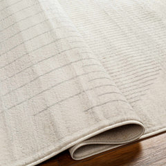 Dung Area Rug - Clearance - Ornate Home