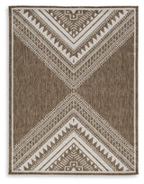 Dunsler Brown/Cream 5' x 7' Rug - Ornate Home