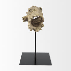 Dwell Brown Large Cholla Wood Resin Decorative Object - Ornate Home