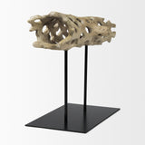 Dwell Brown Large Cholla Wood Resin Decorative Object