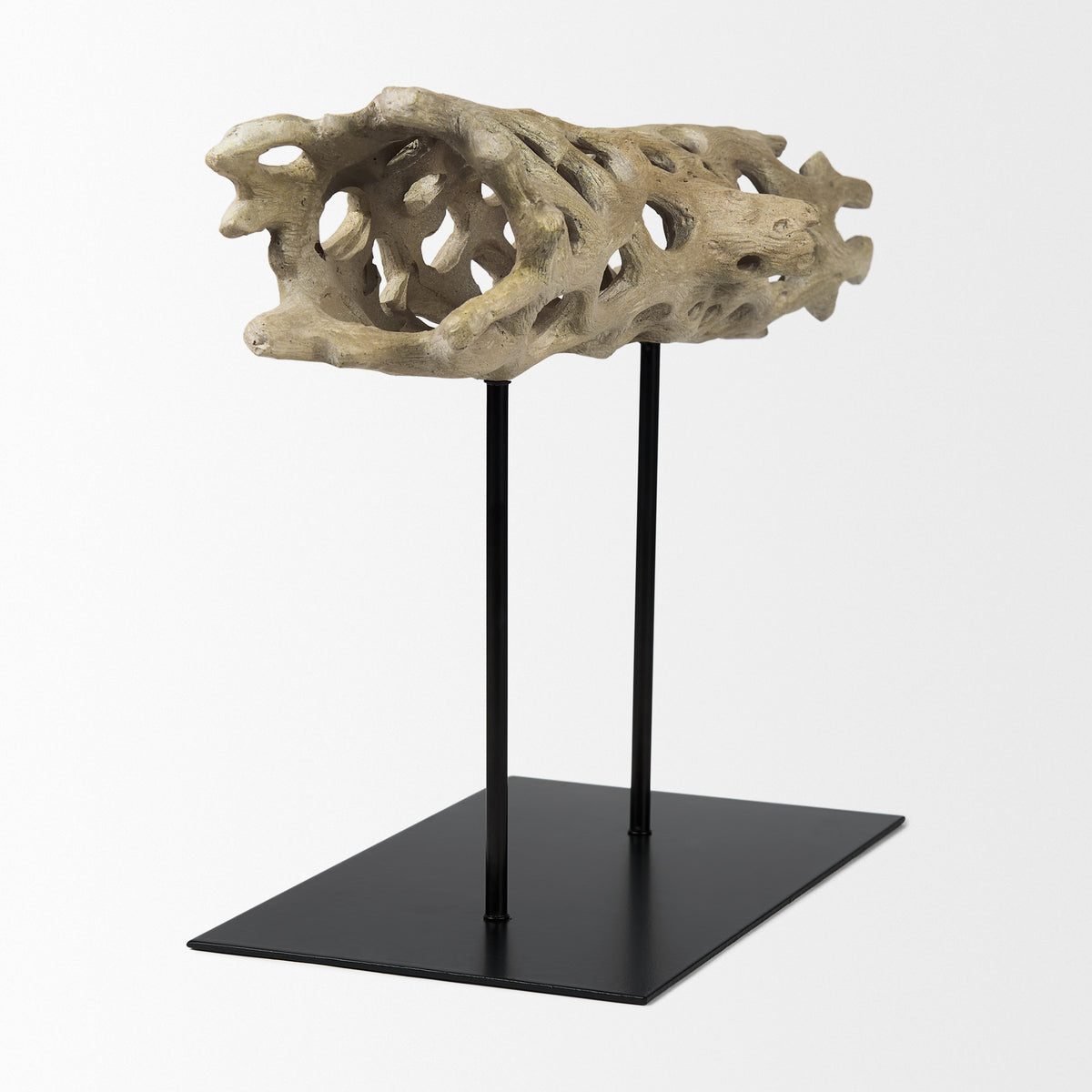 Dwell Brown Large Cholla Wood Resin Decorative Object