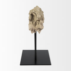 Dwell Brown Small Cholla Wood Resin Decorative Object