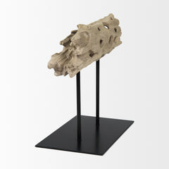 Dwell Brown Small Cholla Wood Resin Decorative Object