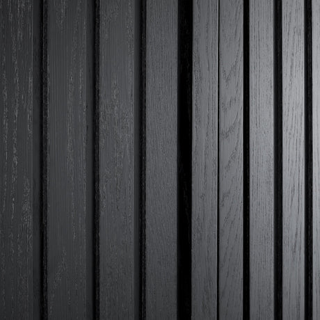 Dylan Black Shoe Cabinet - Ornate Home