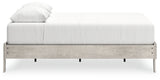 Shawburn Whitewash Queen Platform Bed - Ornate Home