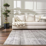Nadie Blue Gray Medallion Area Rug - Clearance