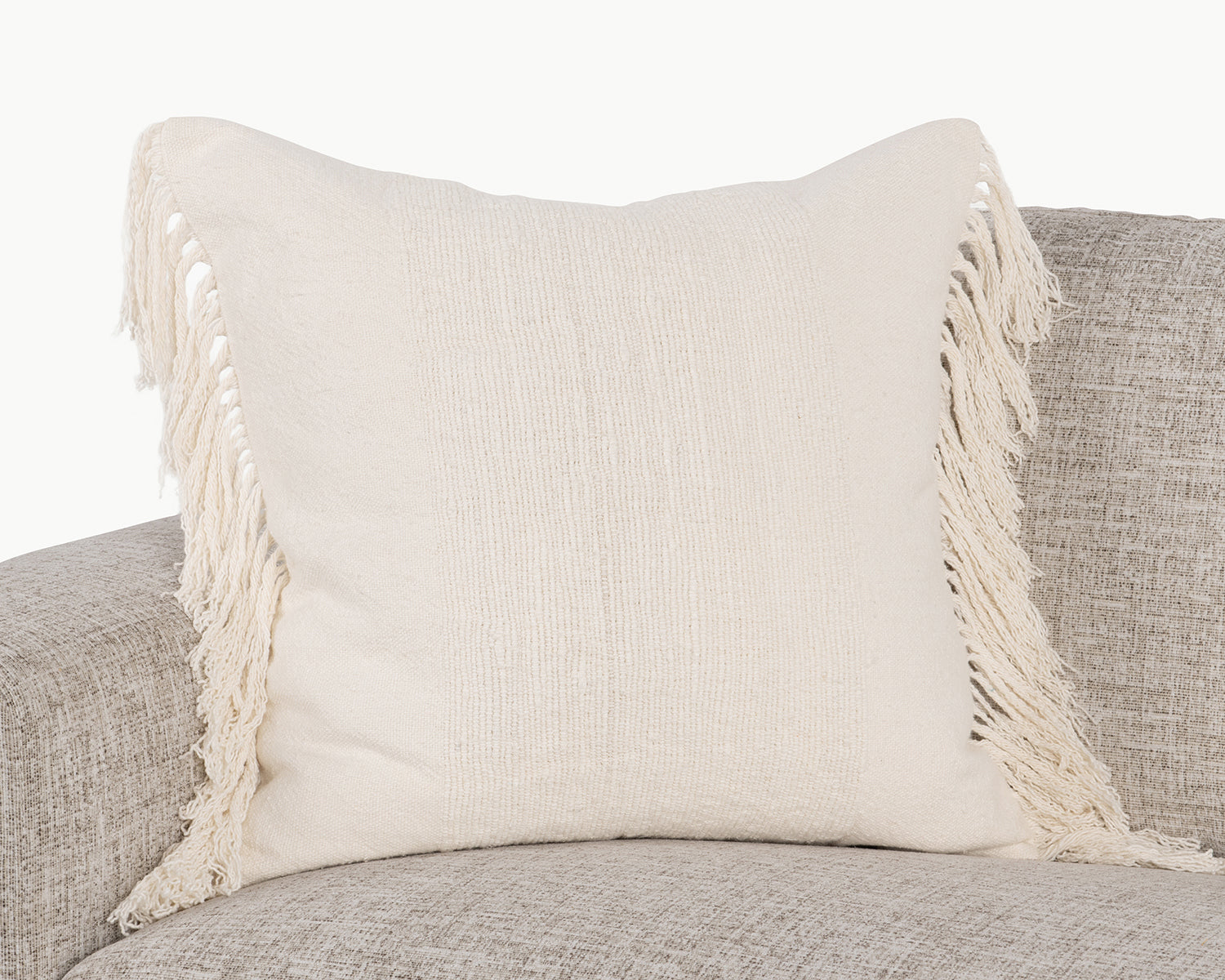 EQ Volta Ivory 22x22 Throw Pillow (Set of 2) - Ornate Home
