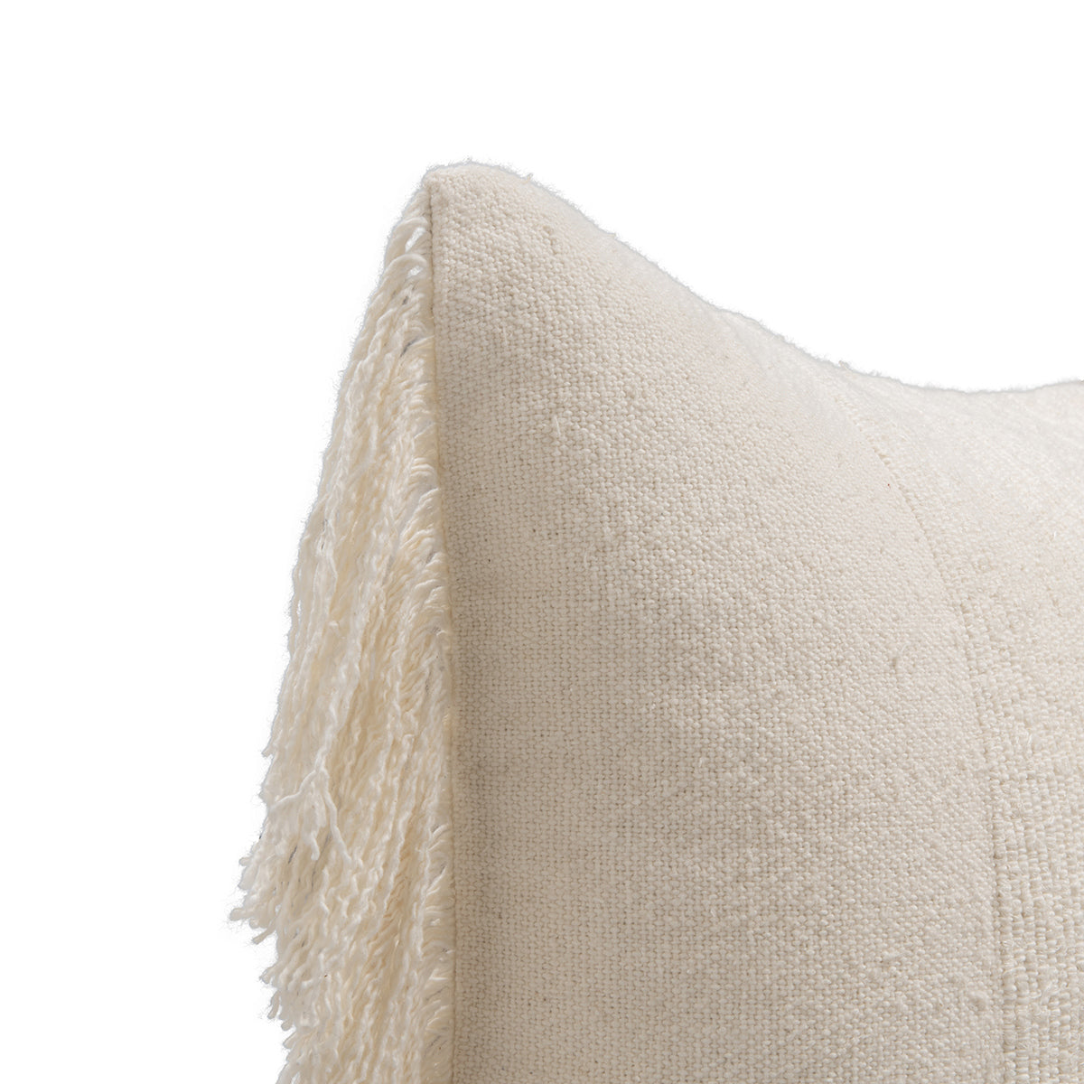 EQ Volta Ivory 22x22 Throw Pillow (Set of 2) - Ornate Home